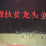 有机肥、生物有机肥、复合微生物肥、有机无机复混肥、碱性肥