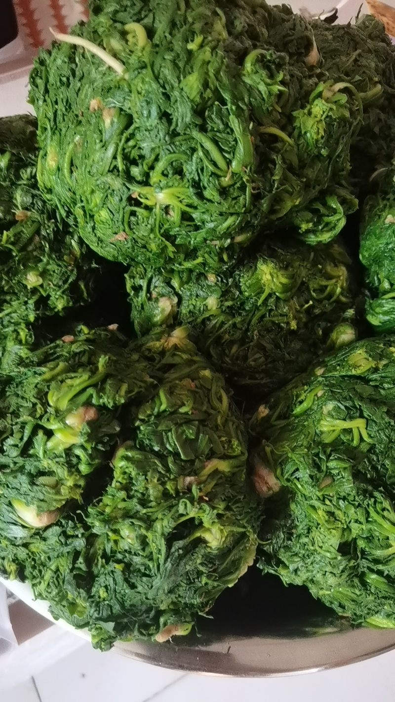 纯野生荠菜