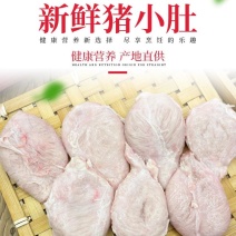 推荐：顺平新鲜猪小肚干净无油猪膀胱产地直供