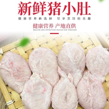 推荐：顺平新鲜猪小肚干净无油猪膀胱产地直供
