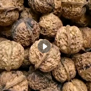 云南核桃干核桃