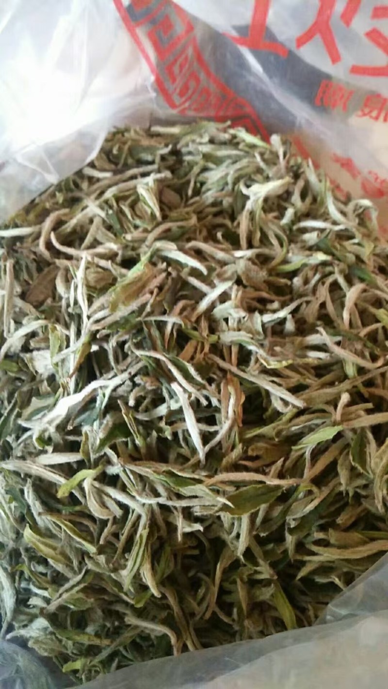 白茶纯荒野牡丹一件代发勿扰数量有限