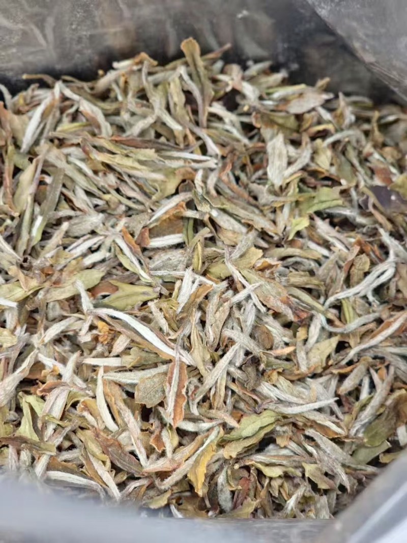 福鼎白茶，量大从优，批发