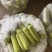西葫芦甩货给价就卖，低至4毛一斤