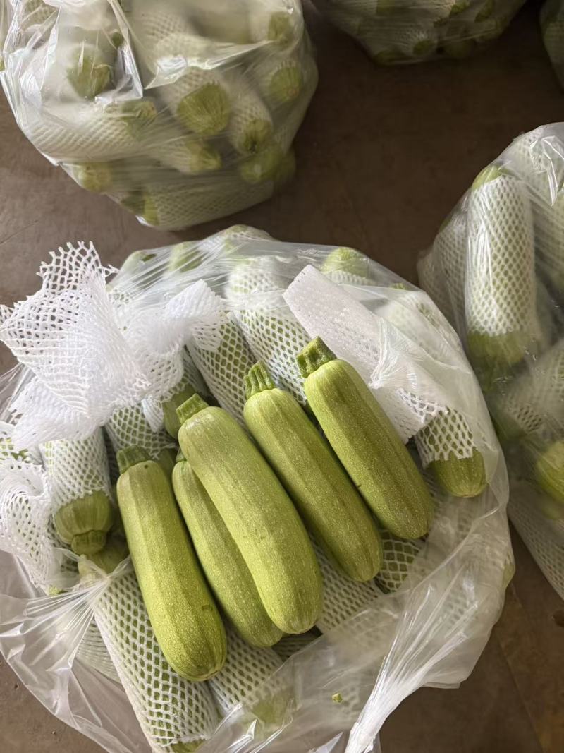 西葫芦甩货给价就卖，低至4毛一斤