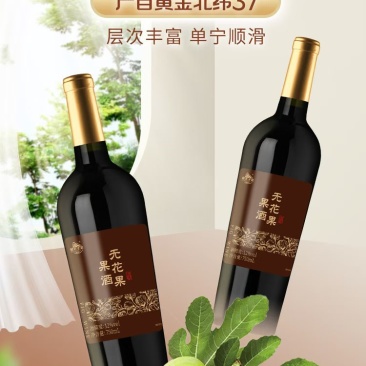 威海特产无花果酒