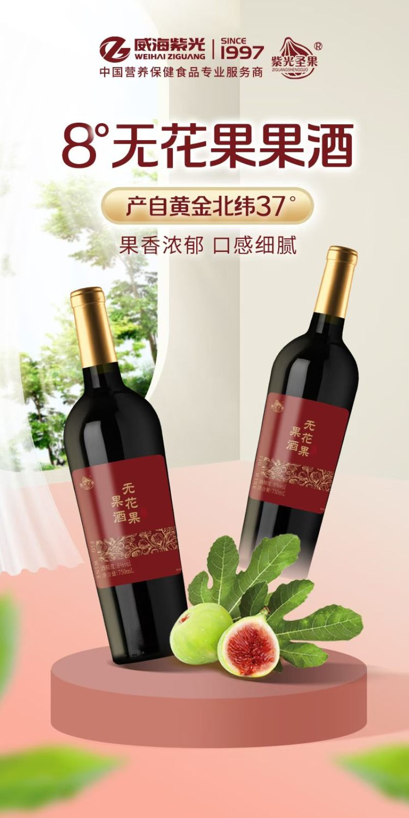 威海特产无花果酒
