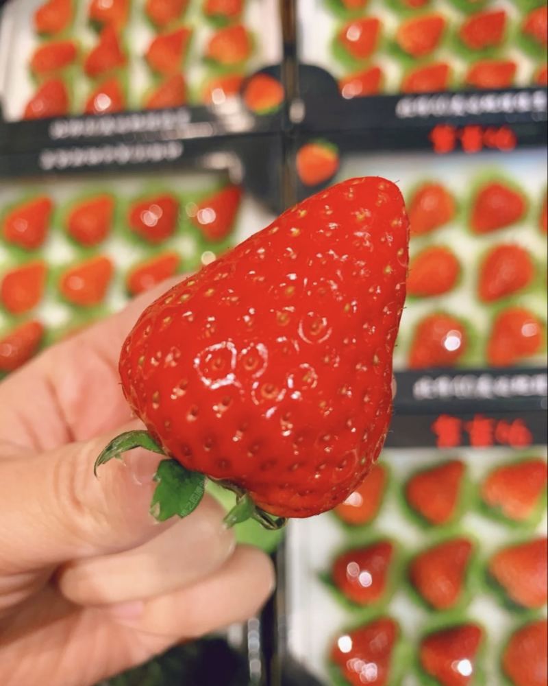红颜草莓🍓🍓🍓