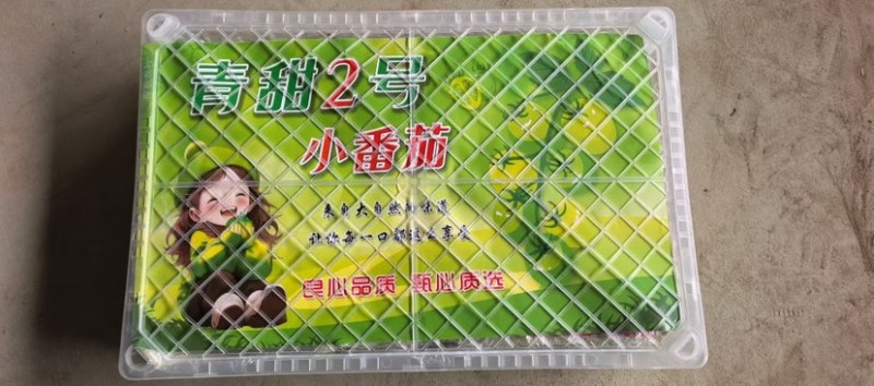 圣女果！千玺果！玲珑！青田！大量上市了！需要收购的客商联系！