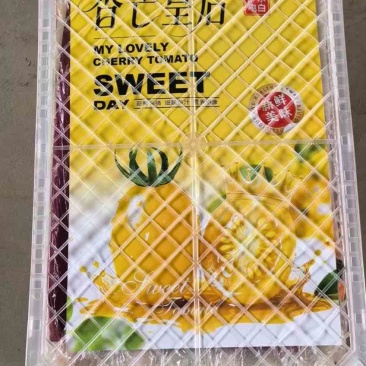 圣女果！千玺果！玲珑！青田！大量上市了！需要收购的客商联系！