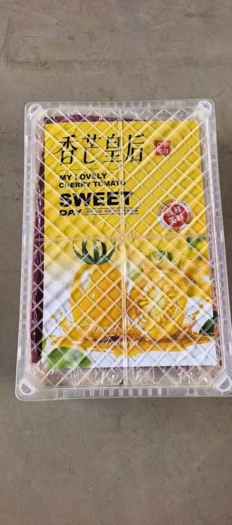 圣女果！千玺果！玲珑！青田！大量上市了！需要收购的客商联系！