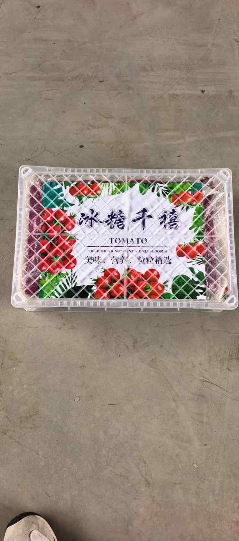 圣女果！千玺果！玲珑！青田！大量上市了！需要收购的客商联系！