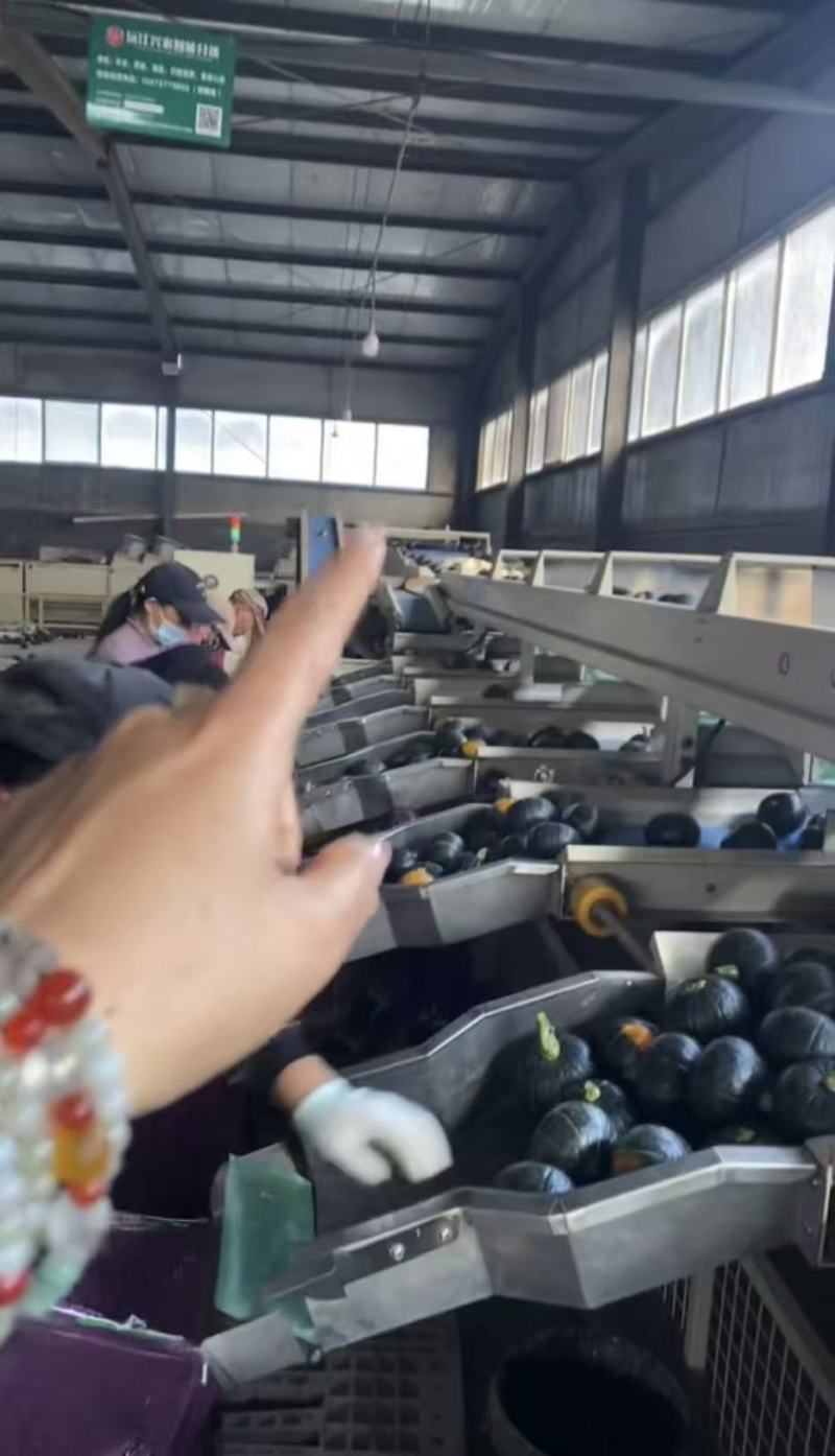贝贝南瓜，电商一件代发，社区，团购