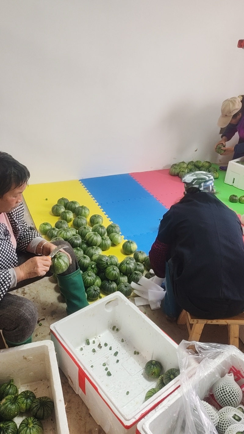嫩圆南瓜
