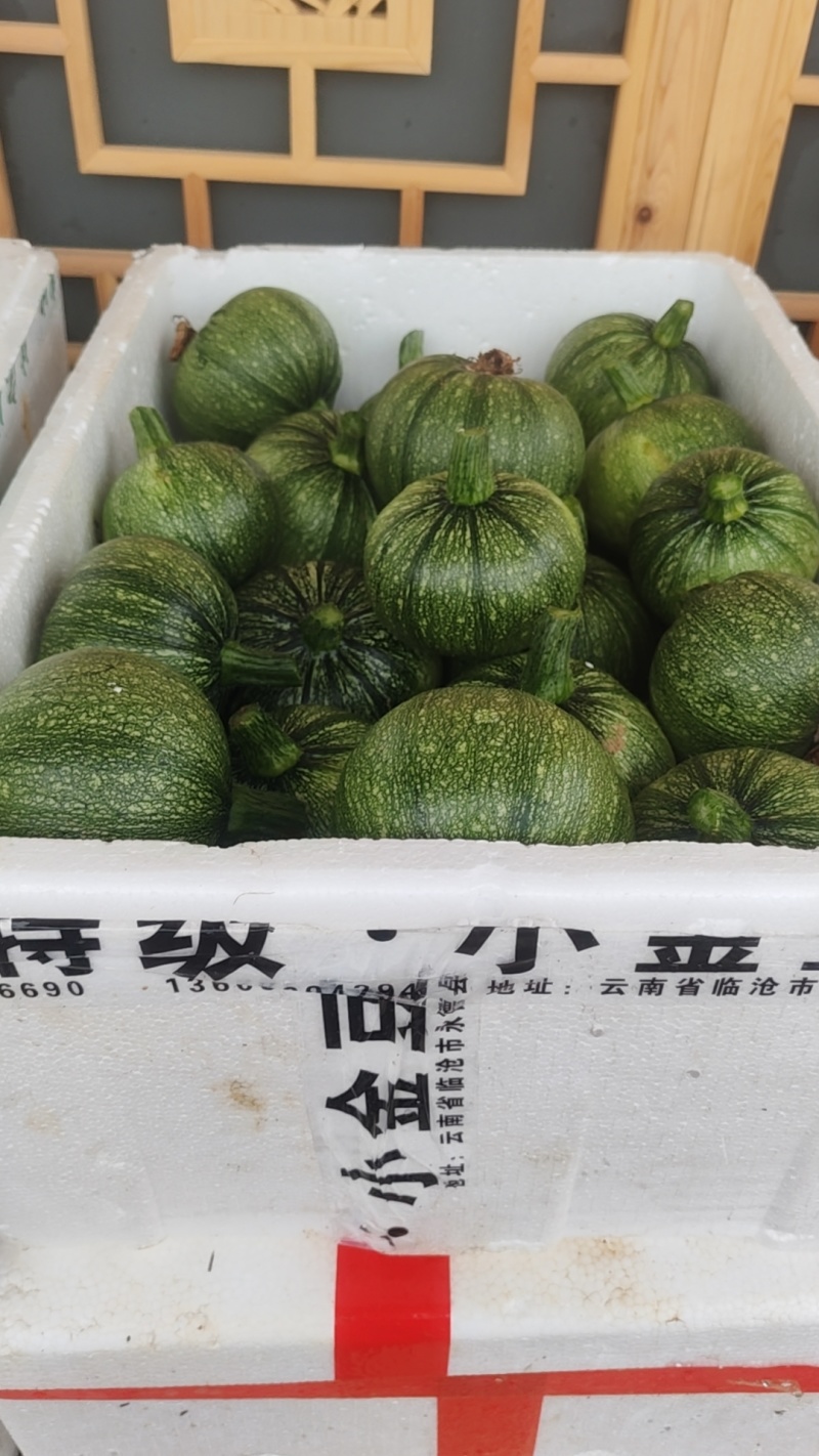 嫩圆南瓜