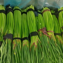 开封红帽蒜薹大量上市