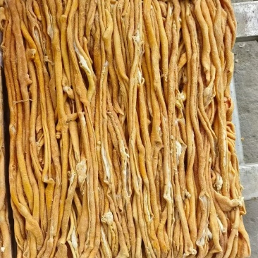 鸭肠工厂直发规格齐全新货新发