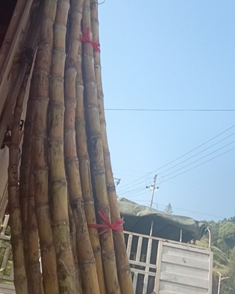 脆皮水果甘蔗