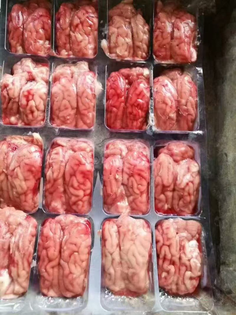 猪分割肉