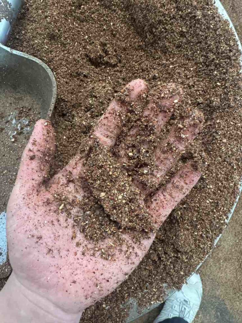 红枣粉香甜高糖喂牛羊鸡鸭鹅好东西