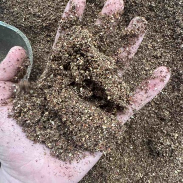 红枣粉香甜高糖喂牛羊鸡鸭鹅好东西