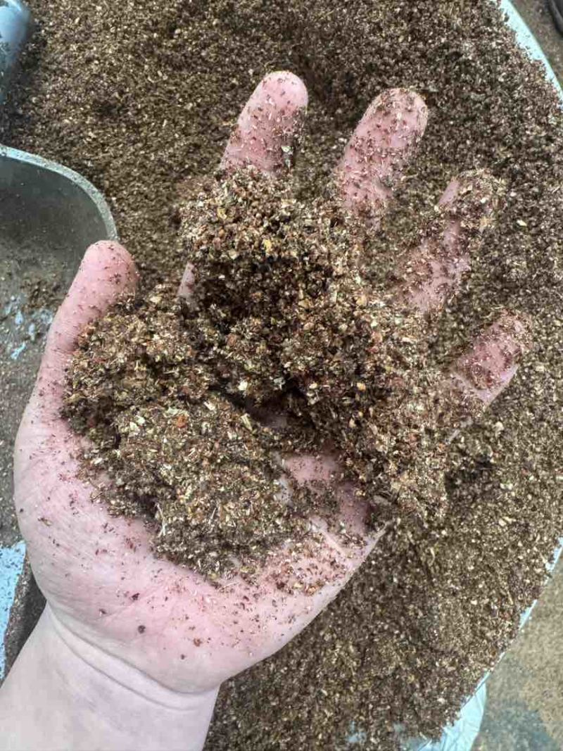 红枣粉香甜高糖喂牛羊鸡鸭鹅好东西