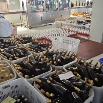 黄氏花果酒品质好，种类200多种，贴牌定制代工农产品来料加工
