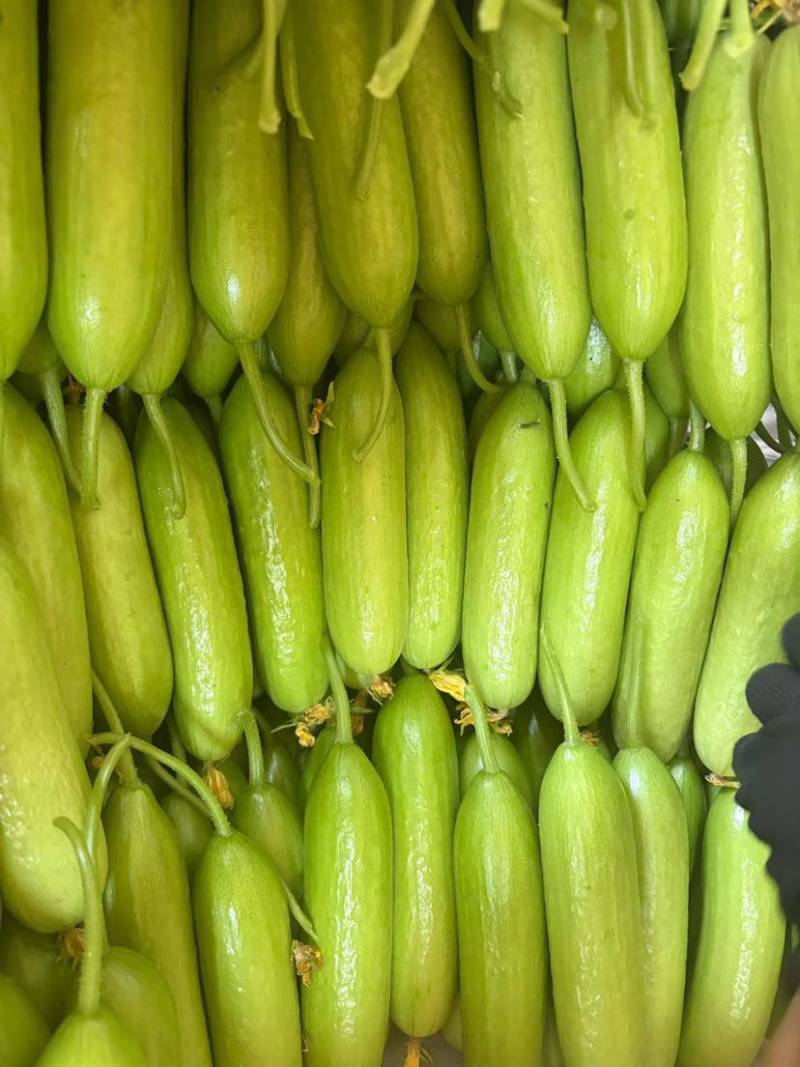 奶油黄瓜