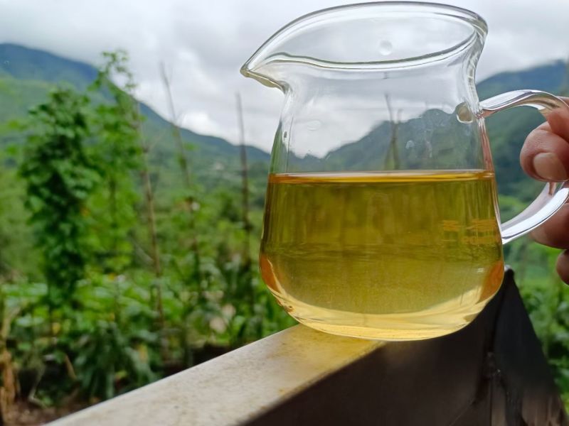 普洱小叶种茶，原生小叶种茶树鲜叶为原料，芽叶纤细、叶质柔软。