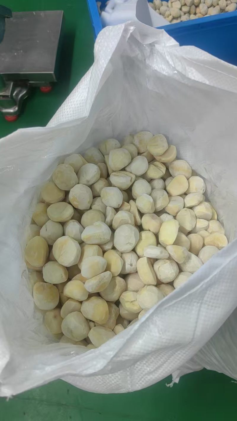 板栗米，大规格板栗米，加工好去皮的板栗米。