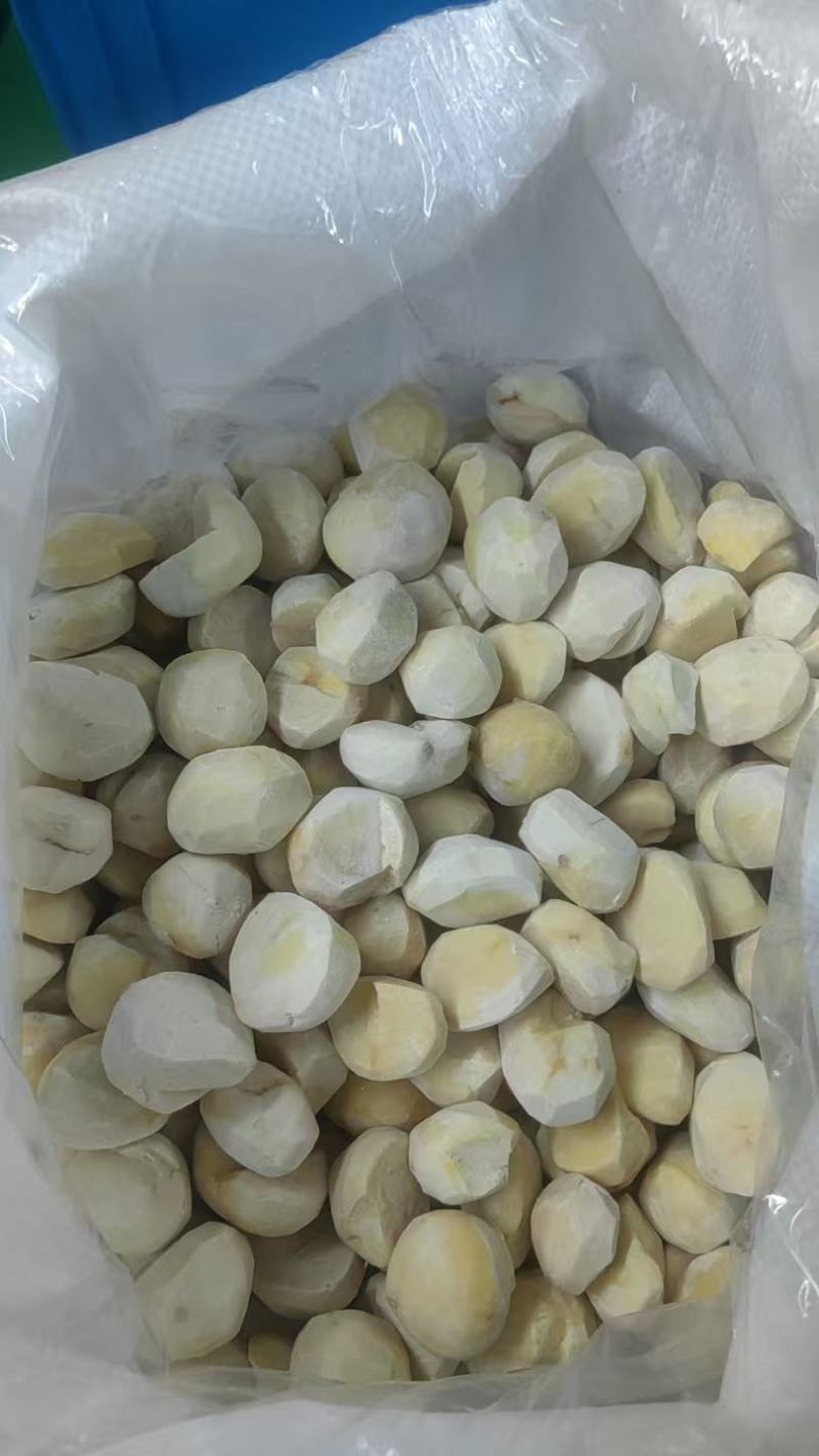 板栗米，大规格板栗米，加工好去皮的板栗米。