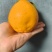 四川眉山耙耙柑