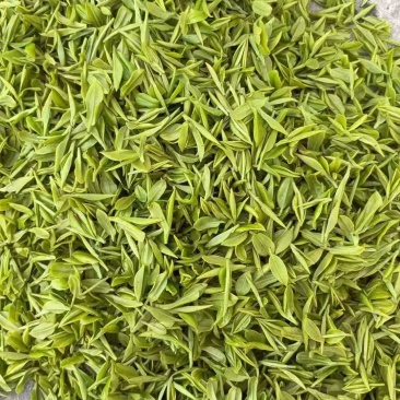 湖南高山玲珑茶