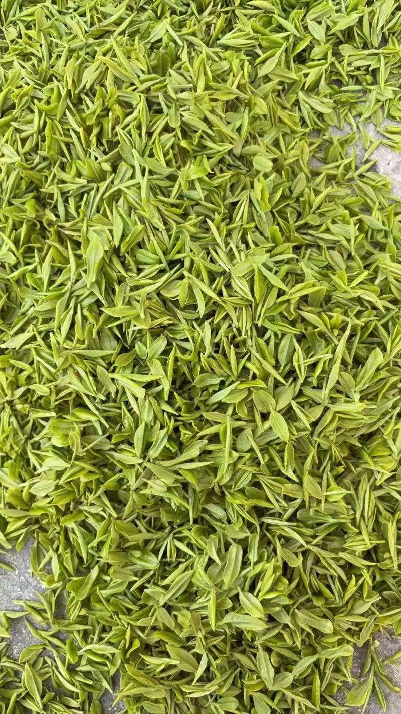 湖南高山玲珑茶