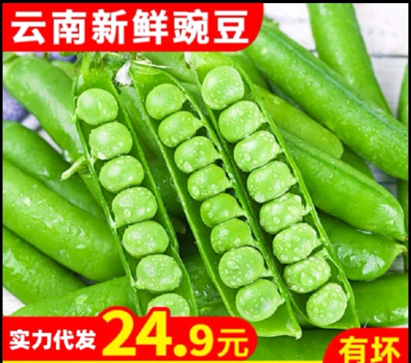 云南甜脆豌豆，现摘现发，早上摘，晚上发，一件代发，代办产地直