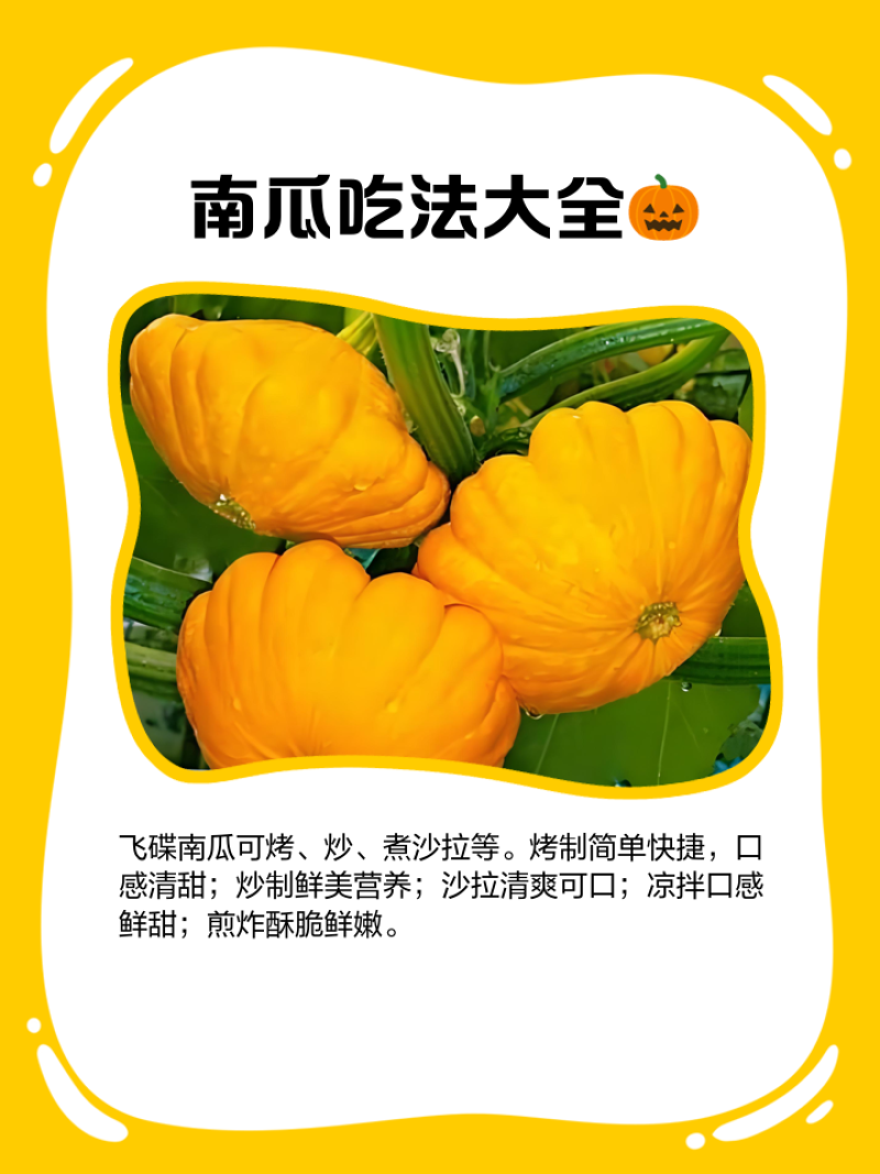 飞碟南瓜现摘现发