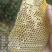 树洞蜂蜜