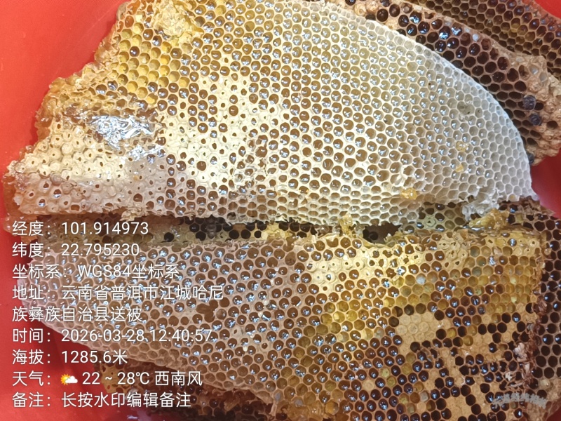 树洞蜂蜜