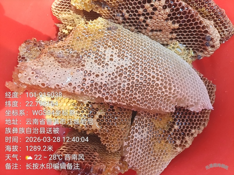 树洞蜂蜜