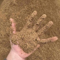 核桃粉喂牛羊喂鸡鸭鹅都可以