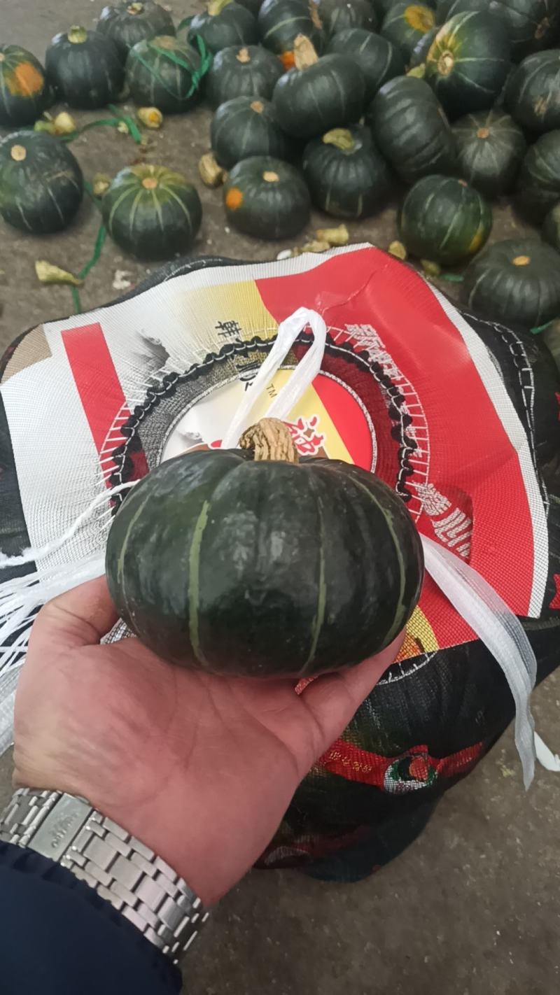 每日现货装车寿光产地直发全国货源充足，价格实惠欢迎各位