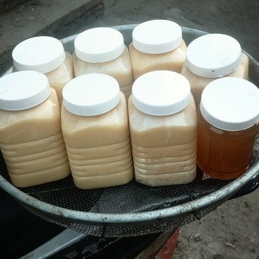 有两种蜜，冬蜜两斤八，春蜜一斤装。
