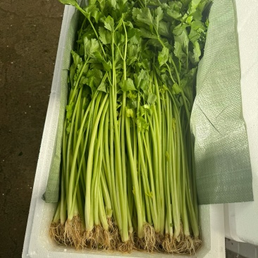 香芹，白蒜苗