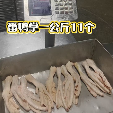 番鸭掌，一公斤11个，跟鹅掌差不多大