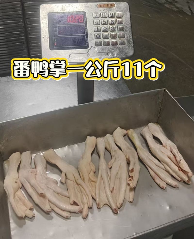 番鸭掌，一公斤11个，跟鹅掌差不多大