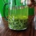 信阳毛尖高山茶