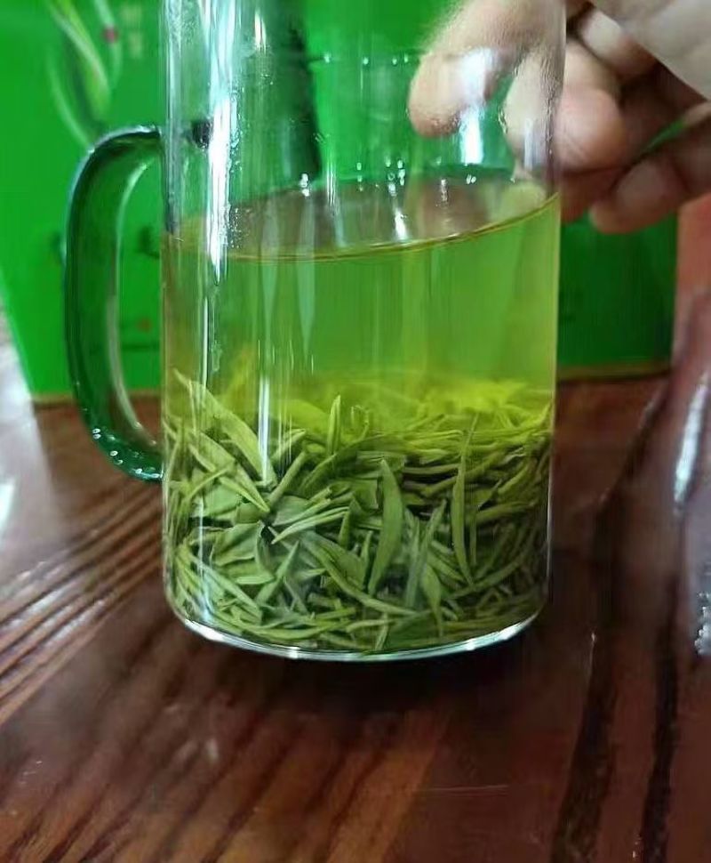 信阳毛尖高山茶