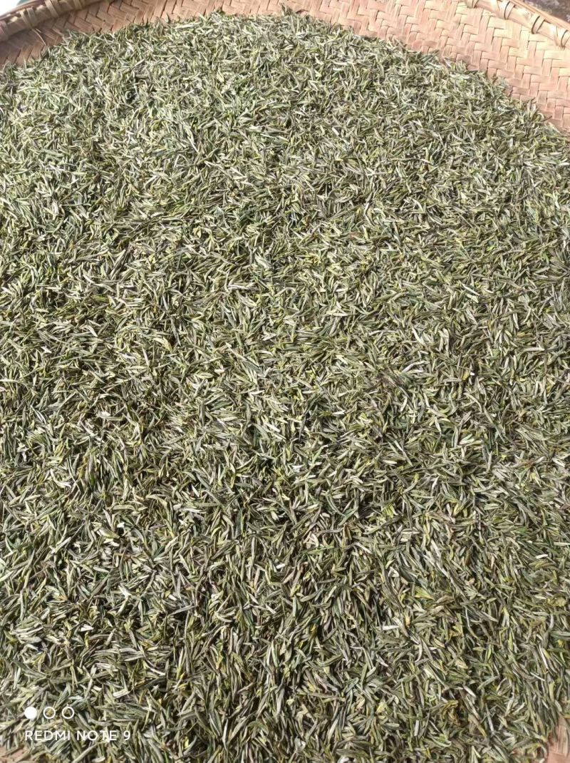 信阳毛尖高山茶