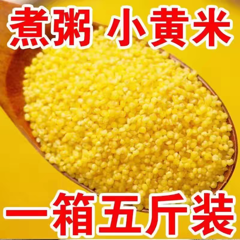东北黄小米电商一件代发