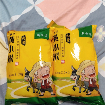 东北黄小米电商一件代发